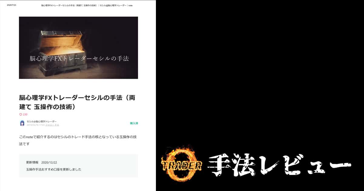 脳⼼理学FXトレーダーセシルの⼿法（両建て ⽟操作の技術）【Dレビュー】